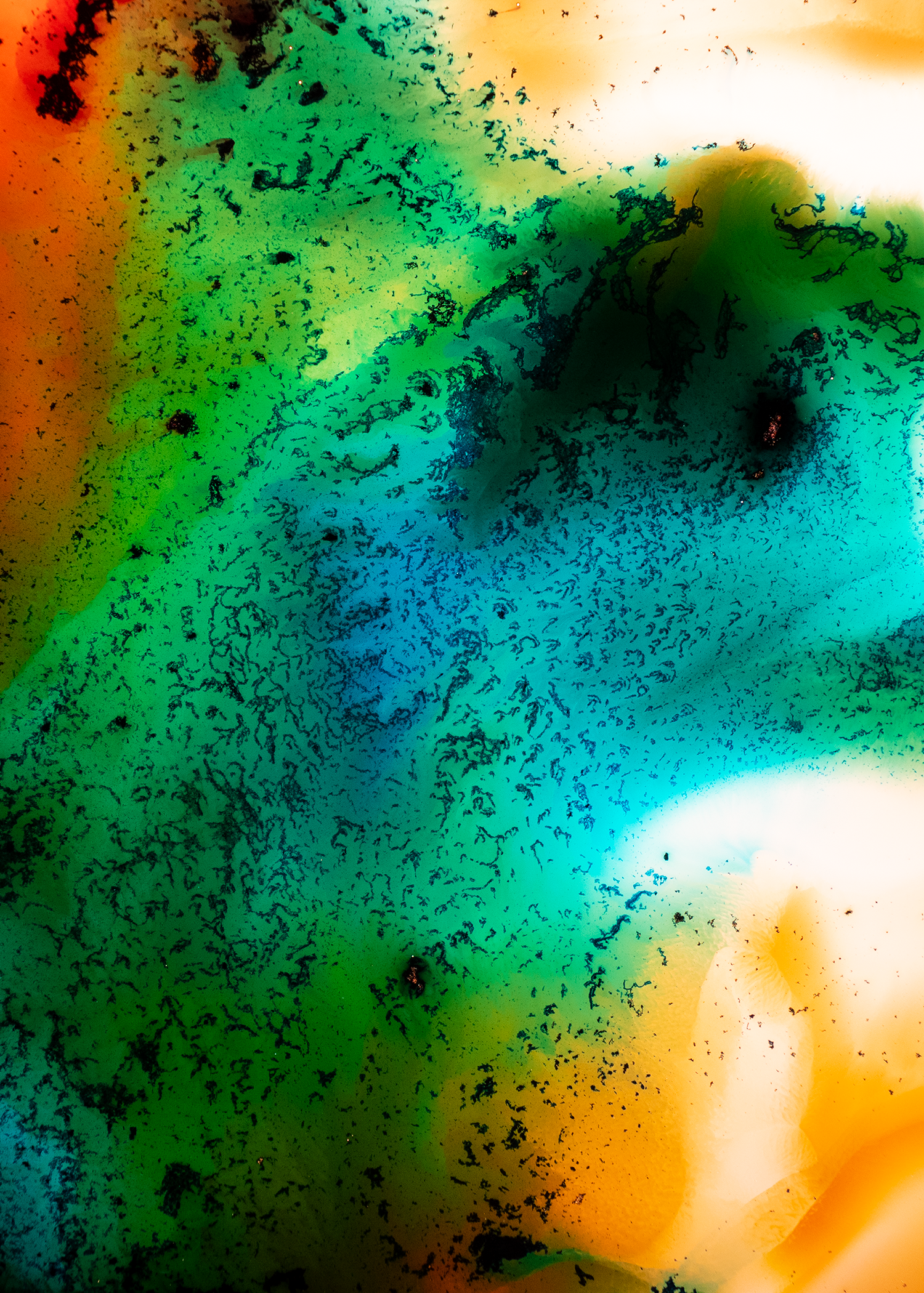 5x7 Crop